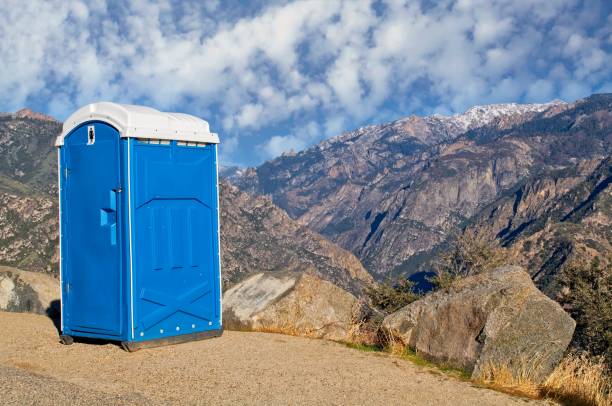 Best Luxury portable toilet rental  in Mlstadt, IL